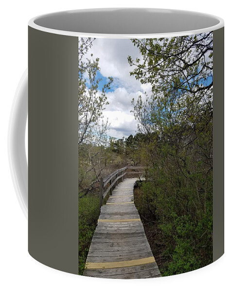 Marsh Coffee Mug featuring the photograph Marsh Walk by Mary Capriole