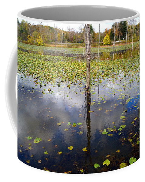 Autumn Coffee Mug featuring the photograph Marshland Reflection by Beth Collins