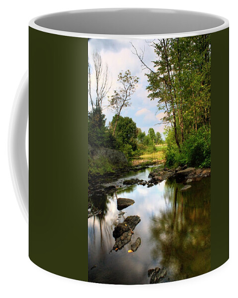 Water Coffee Mug featuring the photograph Martin Stream VII by Greg DeBeck