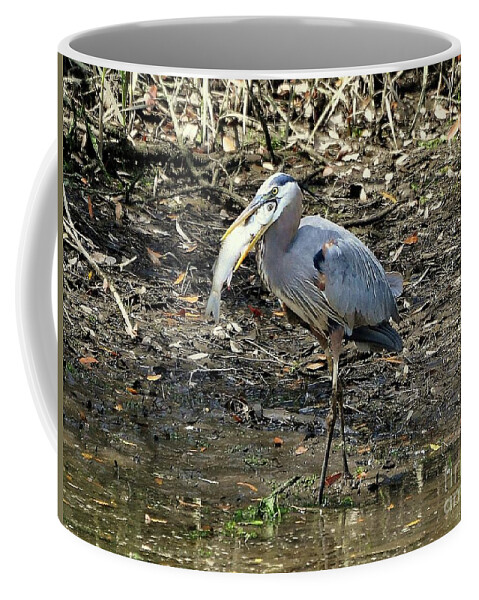 Great Blue Heron Coffee Mug featuring the photograph Massive Meal by Al Powell Photography USA