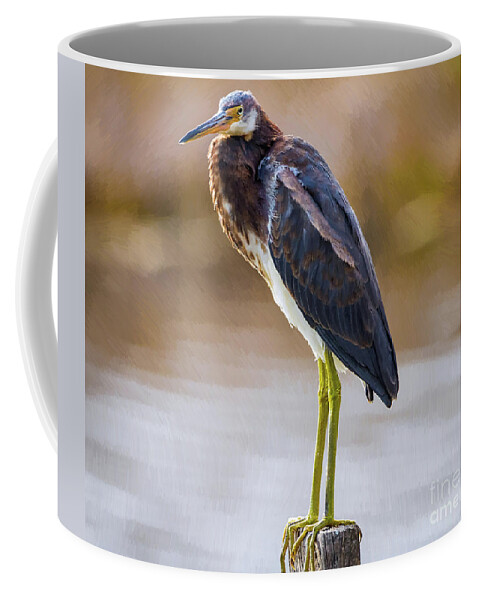 Nature Coffee Mug featuring the painting Master Of The Post 2 - Egretta Tricolor by DB Hayes