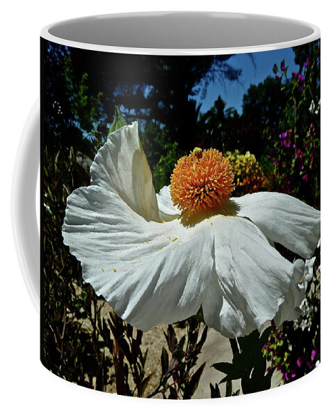 Flowers Coffee Mug featuring the photograph Matilija Poppy Two by Diana Hatcher