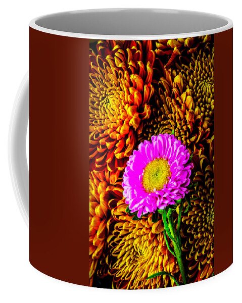 Yellow Coffee Mug featuring the photograph Matsumoto And Spider Mums by Garry Gay