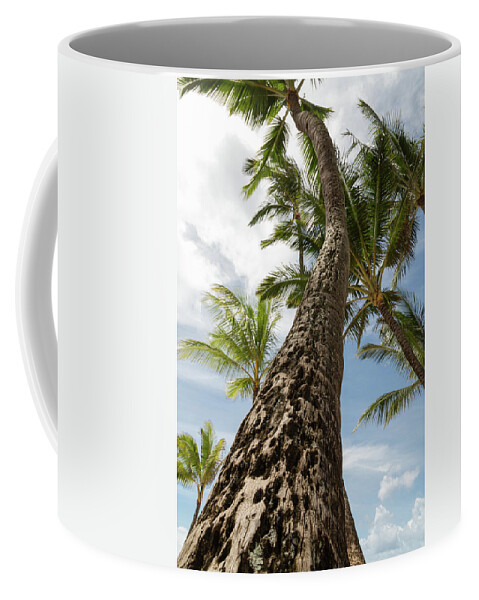 Maui Coffee Mug featuring the photograph Maui Palm by John Daly