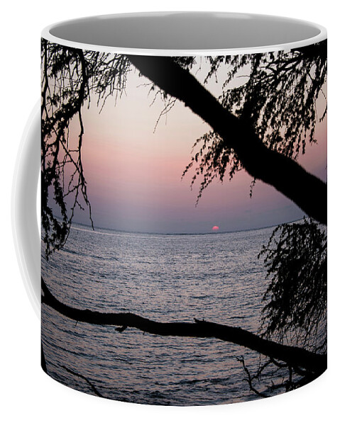 Maui Coffee Mug featuring the photograph Maui Sunset by Jennifer Ancker