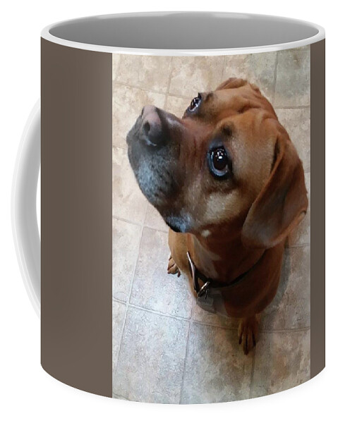 Dog Coffee Mug featuring the photograph Max by Ali Baucom