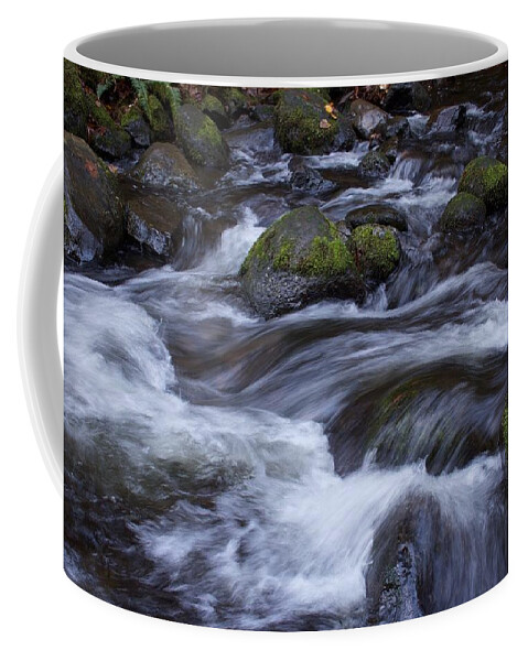 Accord Motion Coffee Mug featuring the photograph McCord Motion by Dylan Punke