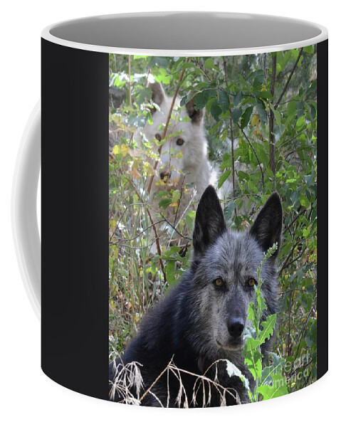 Wolves Wolf Dogs Animals Outdoors Friendship Teamwork Portrait Coffee Mug featuring the photograph Me and My Shadow by Robert Buderman