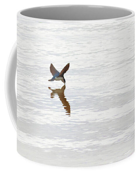 Tree Swallow Coffee Mug featuring the photograph Me and My Shadow by Susan Rissi Tregoning