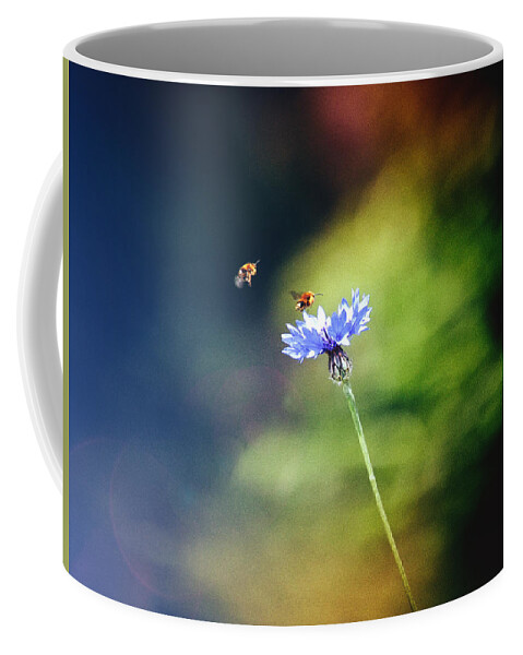 Common Cornflower Coffee Mug featuring the photograph Life in the meadow by Jaroslav Buna