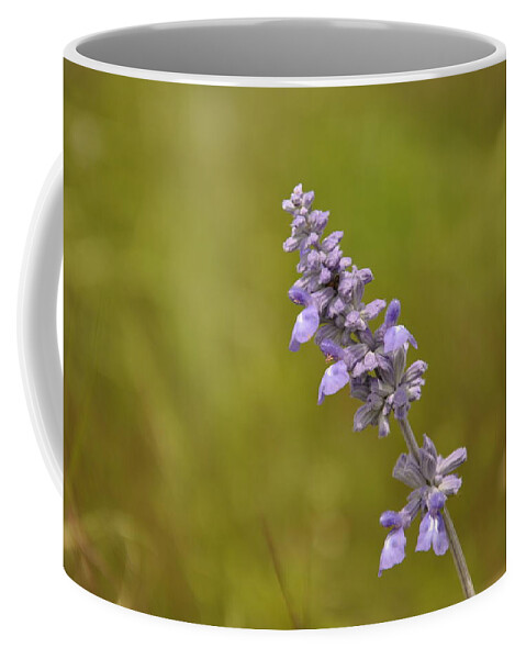 Texas Hill Country Coffee Mug featuring the photograph Mealy Sage by Frank Madia