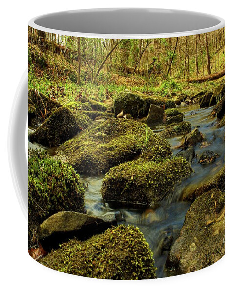 Flow Coffee Mug featuring the photograph Meandering by Ty Shults