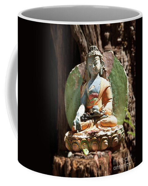 Aptos Ca Coffee Mug featuring the photograph Medicine Buddha with Offerings by Carol Lynn Coronios