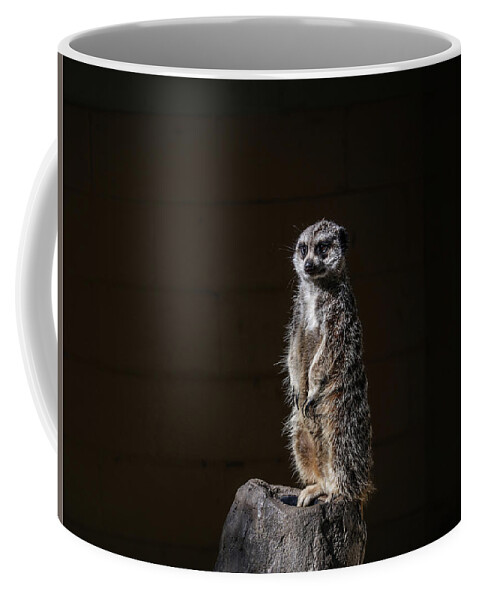 Meerkat Coffee Mug featuring the digital art Meerkat by Kathleen Illes