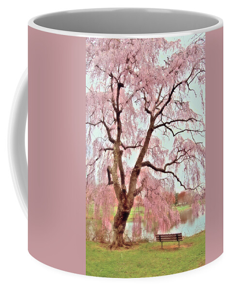 Cherry Blossom Trees Coffee Mug featuring the photograph Meet Me Under The Pink Blooms Beside The Pond - Holmdel Park by Angie Tirado