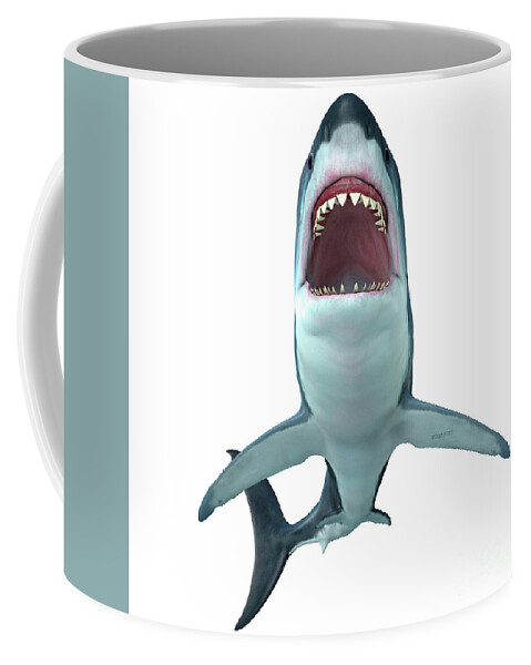 Megalodon Shark Coffee Mug featuring the digital art Megalodon Shark Front Profile by Corey Ford