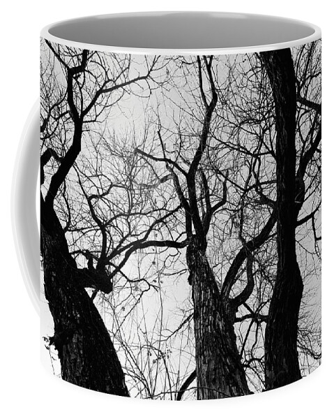 Tree Coffee Mug featuring the photograph Melancholy by Lara Morrison