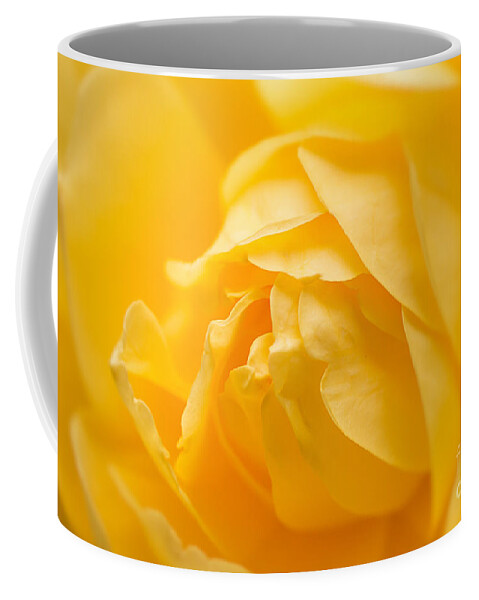 Yellow Coffee Mug featuring the photograph Mellow Yellow Rose by Ana V Ramirez