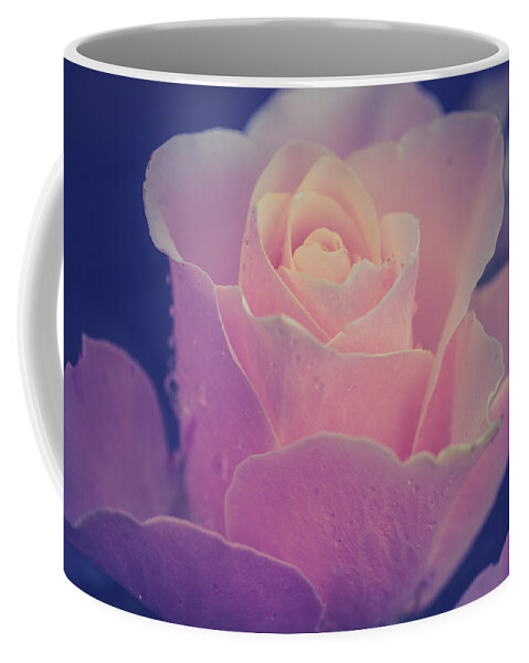 Jenny Rainbow Fine Art Photography Coffee Mug featuring the photograph Memories. Series From Rose Garden by Jenny Rainbow