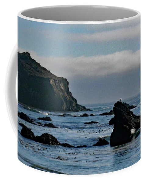 Mendocino Coast Coffee Mug featuring the photograph Mendocino Coast No. 1 by Sandy Taylor
