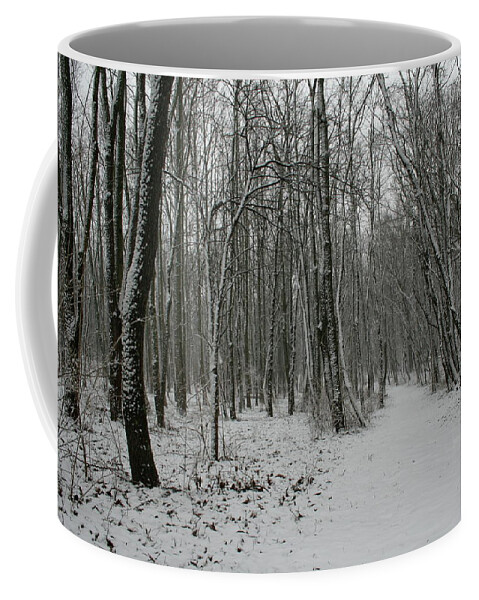 Merwin Snow Woods Coffee Mug featuring the photograph Merwin Snow Woods by Dylan Punke