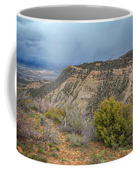 Joan Carroll Coffee Mug featuring the photograph Mesa Verde National Park Colorado USA by Joan Carroll