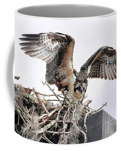 Osprey Coffee Mug featuring the photograph Messy Nest by Deborah Benoit