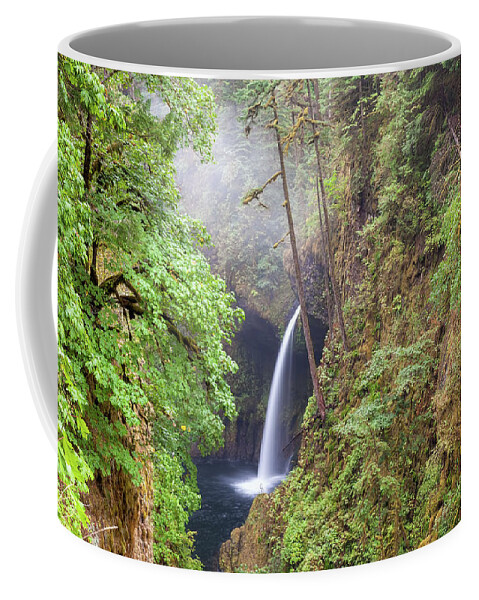 Metlako Falls Coffee Mug featuring the photograph Metlako Falls in Columbia River Gorge by David Gn