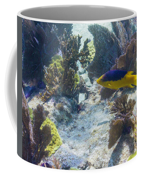 Ocean Coffee Mug featuring the photograph Mi Casa by Lynne Browne