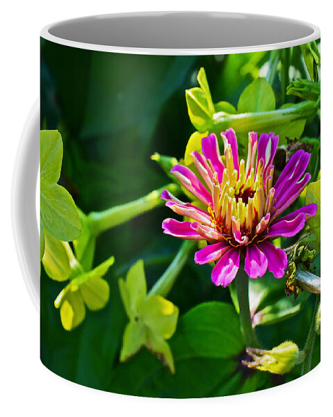 Zinnia Coffee Mug featuring the photograph Mid September Garden Zinnia and Nicotiana by Janis Senungetuk
