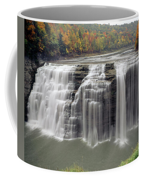 Middle Genesee Falls Coffee Mug featuring the photograph Middle Genesee Falls 131616 by Ed Cooper Photography