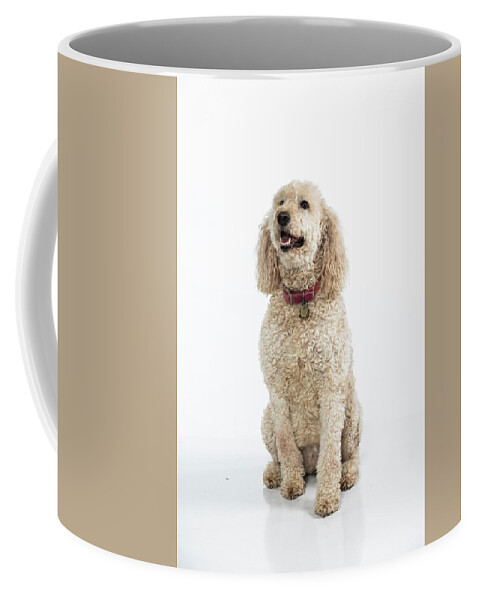 Dog Coffee Mug featuring the photograph Mike Millie 09 by M K Miller