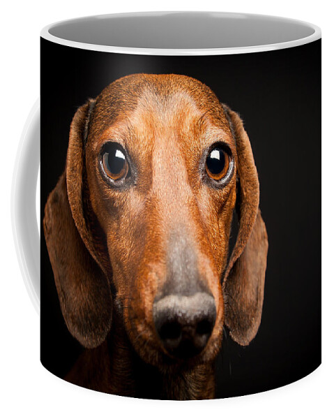 Mike Coffee Mug featuring the photograph Mike the Dachshund by SR Green