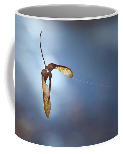 Theresa Tahara Coffee Mug featuring the photograph MIKSANG 3 Maple Seeds by Theresa Tahara