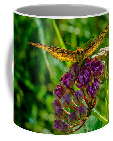 Insect Coffee Mug featuring the photograph Milkweed Buffet by Jeff Phillippi