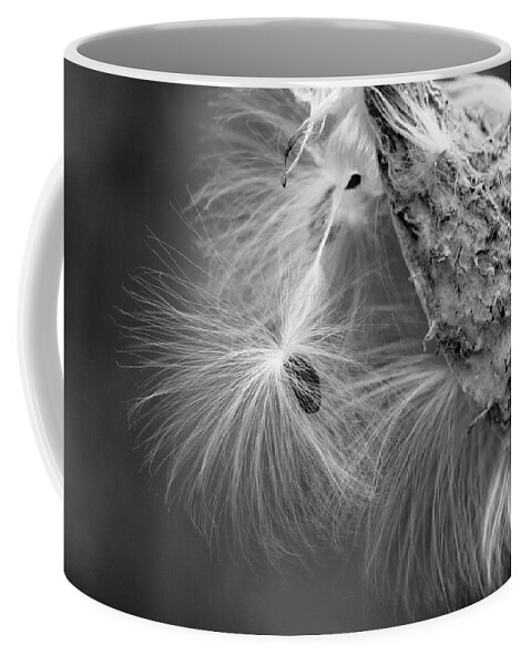 Asclepias Coffee Mug featuring the photograph Milkweed Seed by Todd Bannor
