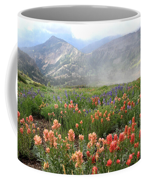 Utah Coffee Mug featuring the photograph Miller Hill and Mineral Basin Wildflowers by Brett Pelletier