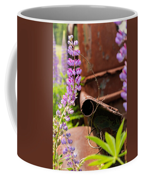 Maine Coffee Mug featuring the photograph Mimicry by Holly Ross