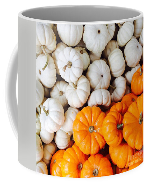 Orange Coffee Mug featuring the photograph Mini Pumpkins by Onedayoneimage Photography