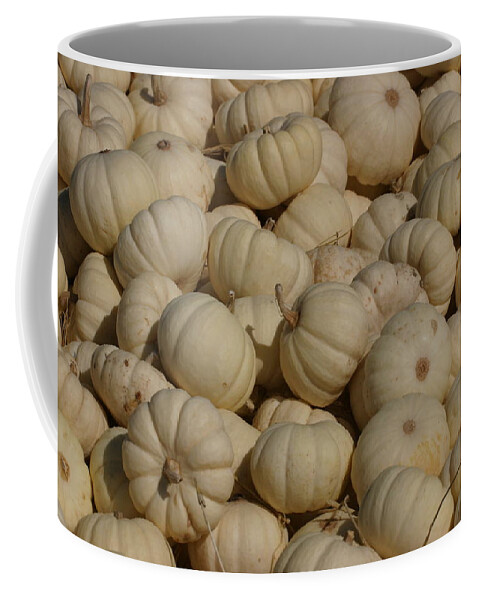 White Coffee Mug featuring the photograph Mini White Pumpkins by Jeff Floyd CA