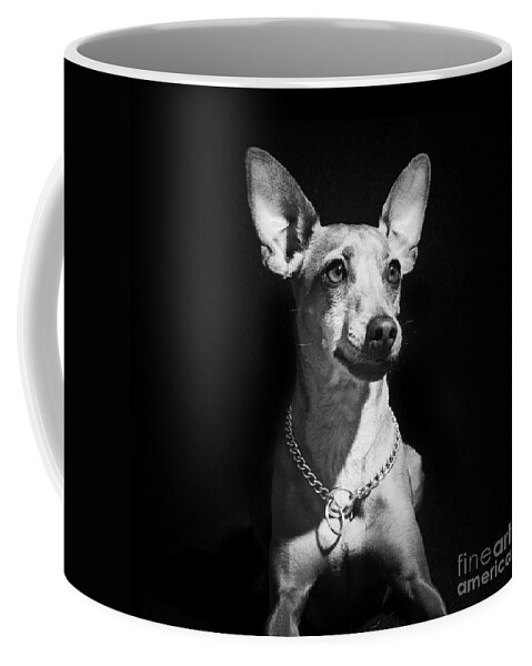 Dog Coffee Mug featuring the photograph Miniature Pinscher dog by Gunnar Orn Arnason