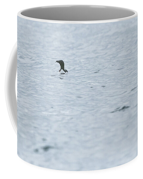 100-400mml Coffee Mug featuring the photograph Minimal Guillemot by Wendy Cooper