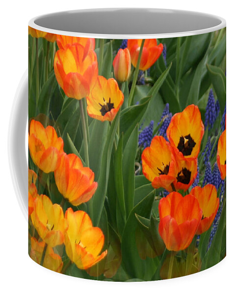 Digital Art Coffee Mug featuring the photograph Mirror of Tulips by Sandra Huston