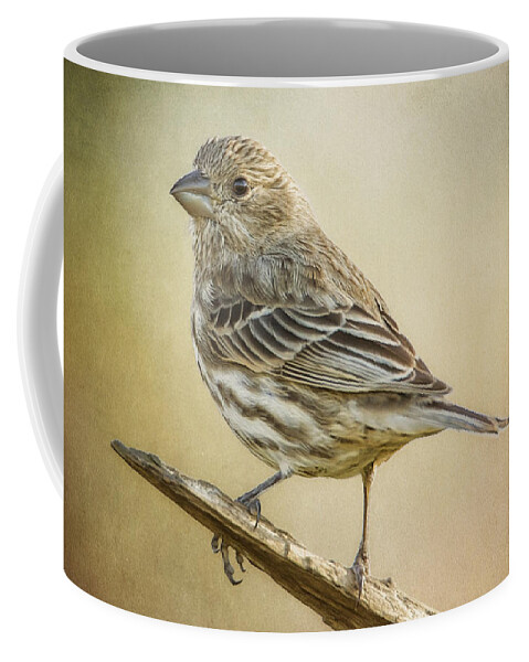 Chordata Coffee Mug featuring the photograph Miss Finch Morning Song by Bill and Linda Tiepelman