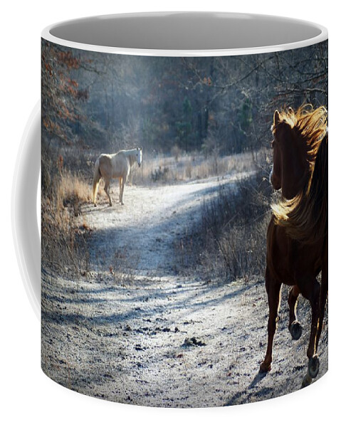 Horses Coffee Mug featuring the photograph Missing My Friend by Bill Stephens