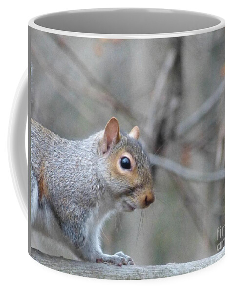 Squirrel Coffee Mug featuring the pyrography Missing Paw by Donald C Morgan