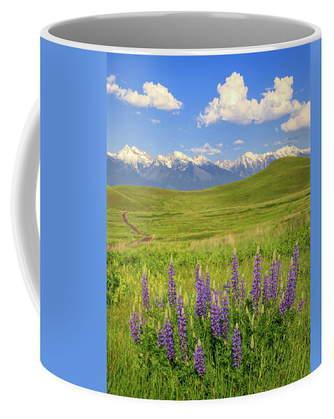Wild Flowers Coffee Mug featuring the photograph Mission Mountain Lupine by Jack Bell