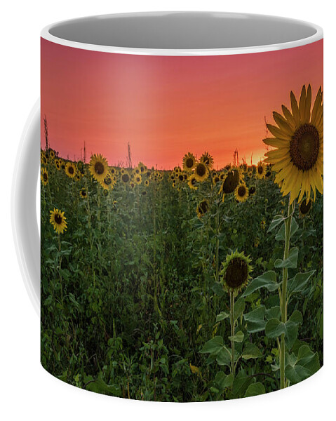 Sunset Coffee Mug featuring the photograph Missouri Sunset by Holly Ross