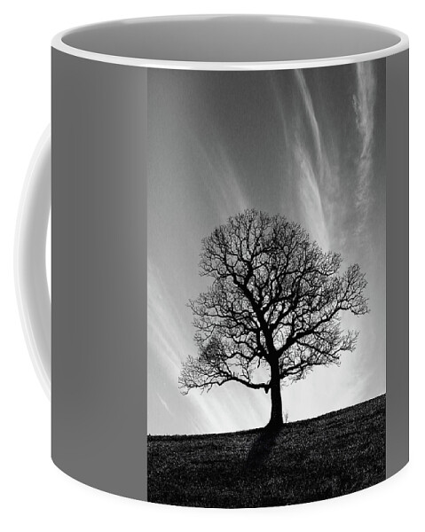 Oak Coffee Mug featuring the photograph Missouri Treescape by Christopher McKenzie