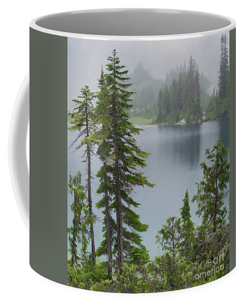 Mist Coffee Mug featuring the photograph Mist at Snow Lake by Charles Robinson